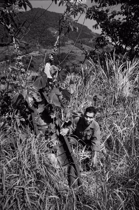 Vỏ quả "bom mẹ" CBU25 từ thời chiến tranh Việt Nam được tìm thấy gần bàn Y Leng (Minh Hóa, Quảng Bình). Một quả bom mẹ này chứa 350 quả bom con BLU-46, còn gọi là bom bi quả ổi. Ảnh: Philip Jones Griffiths - Magnumphotos.com