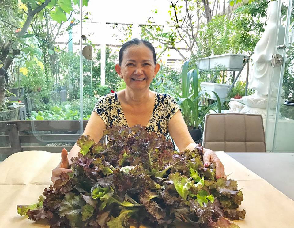 Mẹ chị Hiền bên nông phẩm vừa thu hoạch từ khu vườn sân thượng.