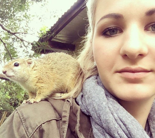 Vào khoảng tháng 10/2016, một cô gái trẻ có tên Simone Serfontein ở Nam Phi bất chợt phát hiện một con sóc nhỏ đáng thương run rẩy trong khu vườn của một người bạn. Theo suy đoán, con sóc nhỏ bị rơi khỏi tổ và nhiệt độ cơ thể xuống rất thấp, cũng rất sợ hãi. Nếu không được cứu giúp, chắc chắn nó sẽ chết.