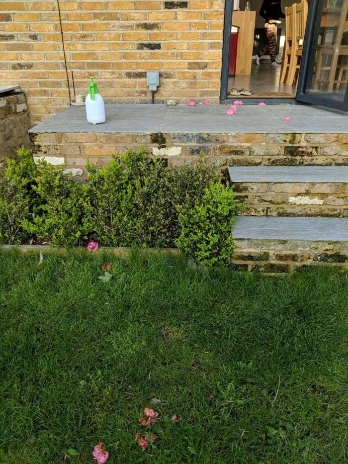 Vì vậy khi Rosie, một cô gái ở Anh nhận được những bông hoa hồng ở hiên nhà, cô vô cùng ngạc nhiên.