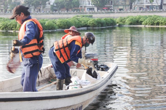 Một con cá mè khoảng 2kg được vớt lên cho vào tải.