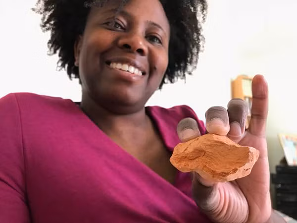 Theo tìm hiểu, tình trạng của cô Mandisa Mayne là một tình trạng bệnh hiếm. Những người mắc phải thường rất nghiện ăn thứ gì đó không hề có chất dinh dưỡng.