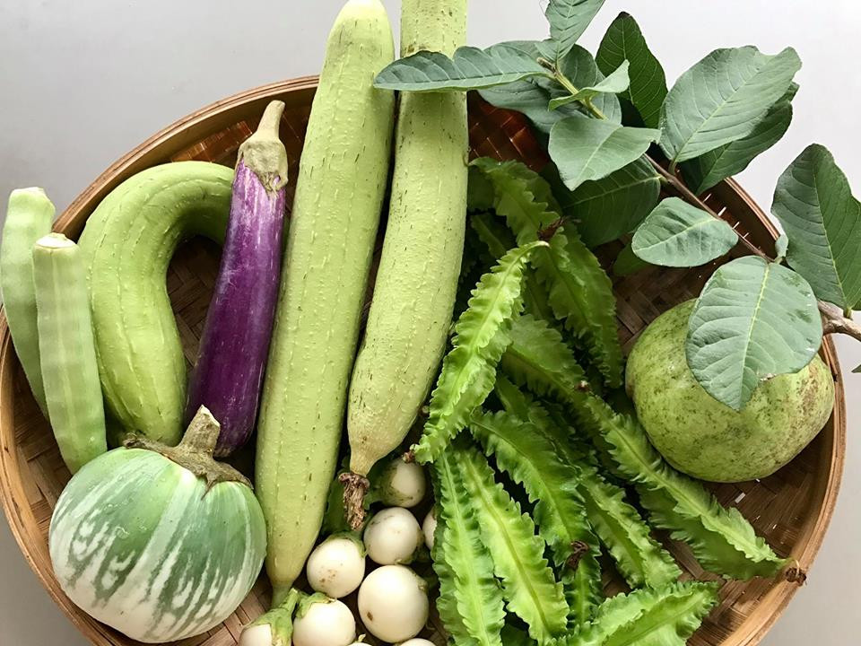 Thành quả sau một lần thu hoạch phục vụ cho những bữa cơm ngon hàng ngày.