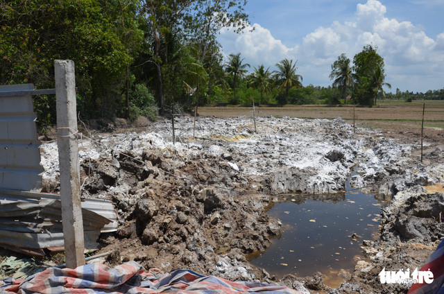 Nước đen ngòm rỉ ra từ hố chôn 377 con heo chết, mùi hôi thối nồng nặc - Ảnh: Công an cung cấp