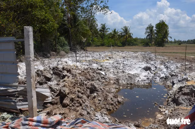 Nước đen ngòm rỉ ra từ hố chôn 377 con heo chết, mùi hôi thối nồng nặc - Ảnh: Công an cung cấp