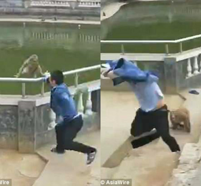 Nam thanh niên chạy thục mạng khi bị khỉ hung dữ đuổi theo. Ảnh cắt từ clip.