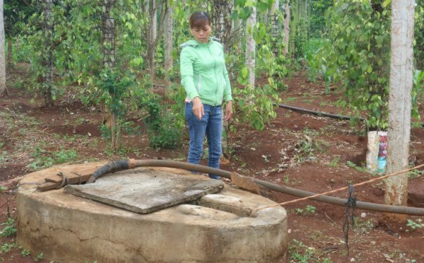 Giếng nước gia đình anh Thiệp bị đổ thuốc sâu nghi để đầu độc