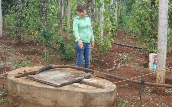 Giếng nước gia đình anh Thiệp bị đổ thuốc sâu nghi để đầu độc