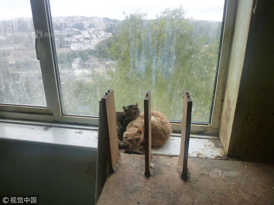 Không chỉ thế, khắp nơi là các vết trầy xước, nồng nặc mùi hôi thối của phân và nước tiểu. Ngoài ra, không còn gì khác.