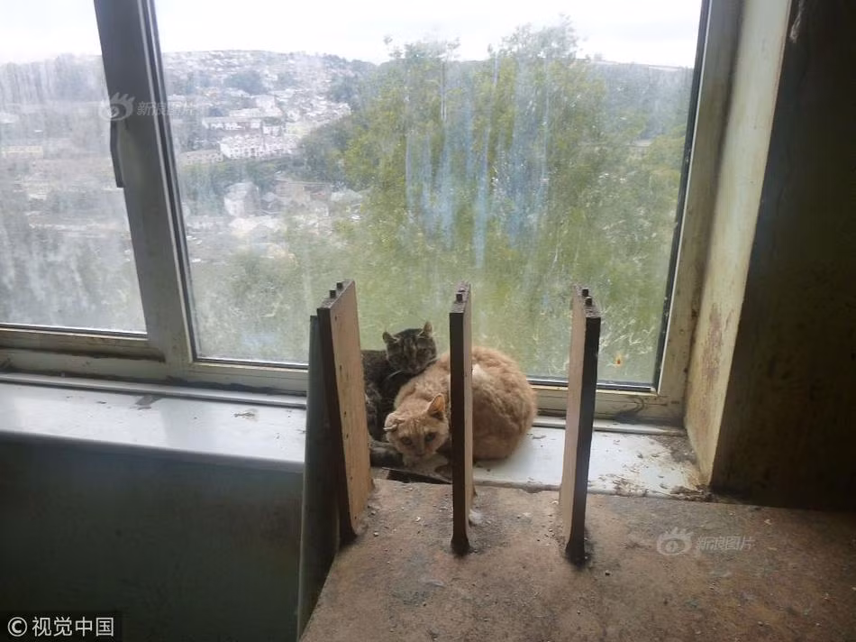 Không chỉ thế, khắp nơi là các vết trầy xước, nồng nặc mùi hôi thối của phân và nước tiểu. Ngoài ra, không còn gì khác.