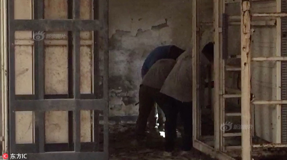 Tại đó, con hổ vừa ẩn thân, vừa cố gắng tồn tại thế nhưng tình huống ngày một xấu đi.