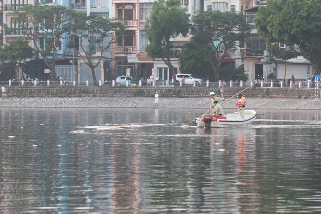 Đến hơn 18h, các công nhân vẫn thực hiện vớt cá chết tại hồ Hoàng Cầu.