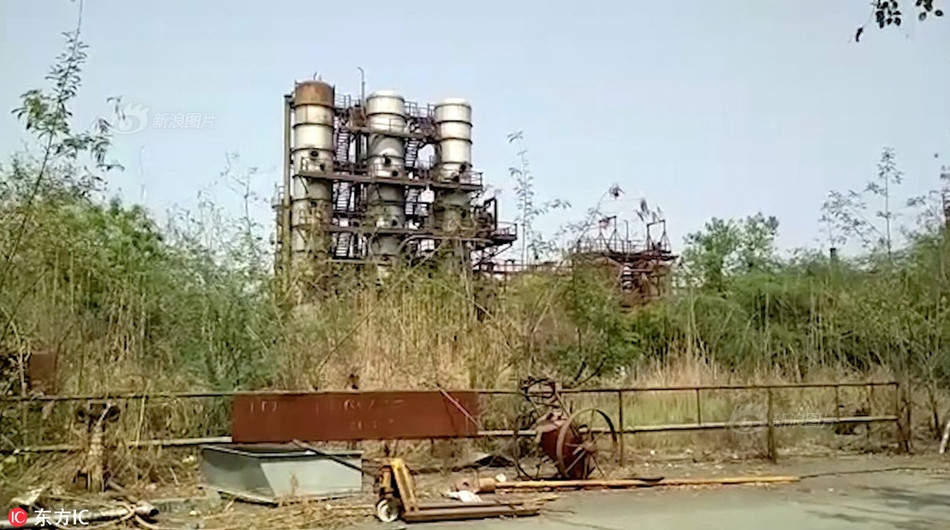 Theo thông tin đăng tải, trước khi lâm phải tình cảnh khó khăn, con hổ vằn giống đực này đã tham gia vào một cuộc chiến tranh giành lãnh địa với đồng loại của mình.