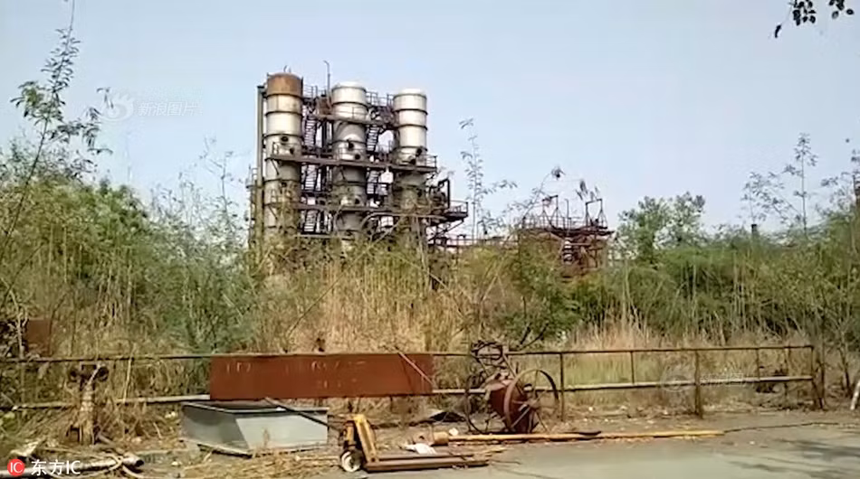 Theo thông tin đăng tải, trước khi lâm phải tình cảnh khó khăn, con hổ vằn giống đực này đã tham gia vào một cuộc chiến tranh giành lãnh địa với đồng loại của mình.