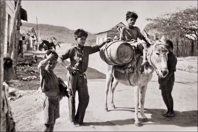 Bộ ảnh tập trung chủ yếu vào cuộc sống của người dân ở Colombia và Venezuela thuộc khu vực Nam Mỹ. Ngoài ra, một số bức hình được chụp ở Costa Rica, Panama, Guyana và Suriname,…cách đây gần 100 năm về trước.