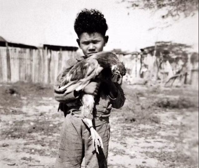 Một bé trai đang bế chú gà trên tay.