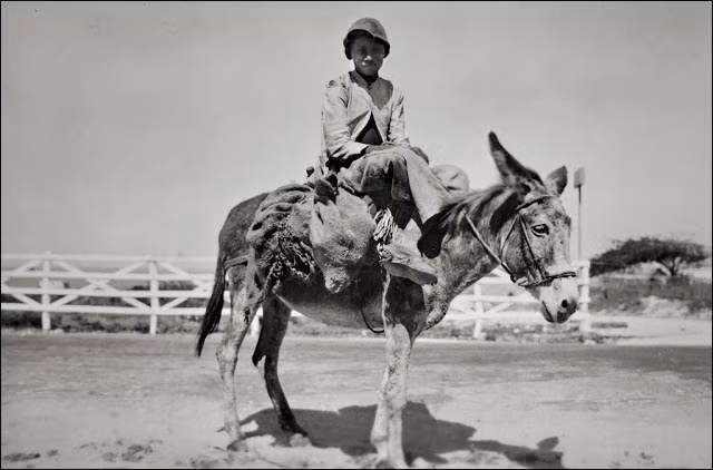 Một trong những phương tiện đi lại của người dân trong khu vực này gần 100 năm về trước. (Nguồn ảnh: Vintag).