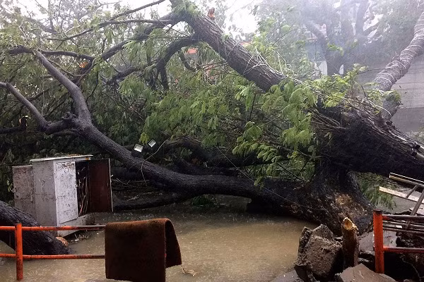 Bão Vardah tiếp tục gây mưa ở các bang Andhra Pradesh và Karnataka. Ảnh: AJ.