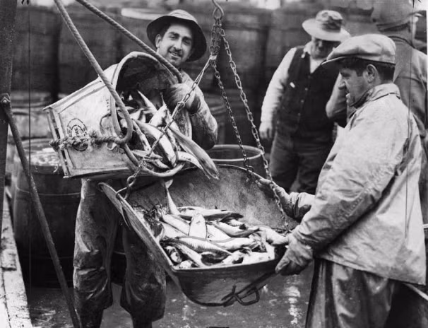 Khu chợ Fulton ở Manhattan năm 1934.