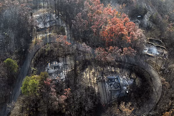 Cảnh tượng những ngôi nhà bị thiêu trụi giữa đám cây chết cháy gần Gatlinburg.