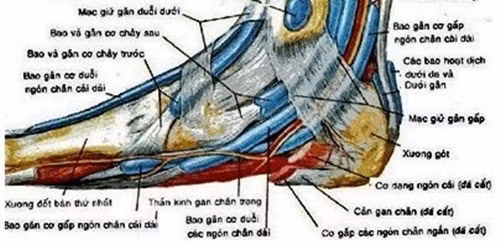 Chỉ cần bạn day bấm huyệt này mỗi ngày 2 lần, mỗi lần 10 phút với một lực cực mạnh. Các lương y Trung quốc đã thử nghiệm bài huyệt này cho các trường hợp béo phì và kết quả đã giảm béo được đáng kể mà không có bất kỳ tác dụng phụ nào cả. Ảnh: Zingnews. 