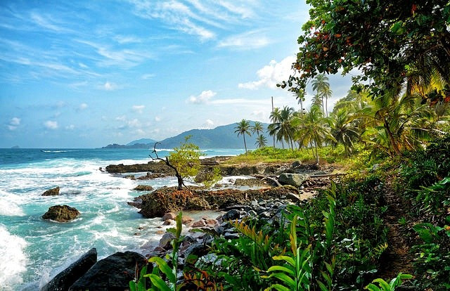  Capurgana: Bạn sẽ tìm thấy những bãi biển tuyệt đẹp ăn vào các rặng san hô Caribbean lộng lẫy. Cát nhường chỗ cho khu rừng rậm rạp với vô số những động vật hoang dã địa phương. Ở Capurgana, du khách có thể thoải mái thưởng thức các món hải sản phong phú và tươi mát, ngon lành.