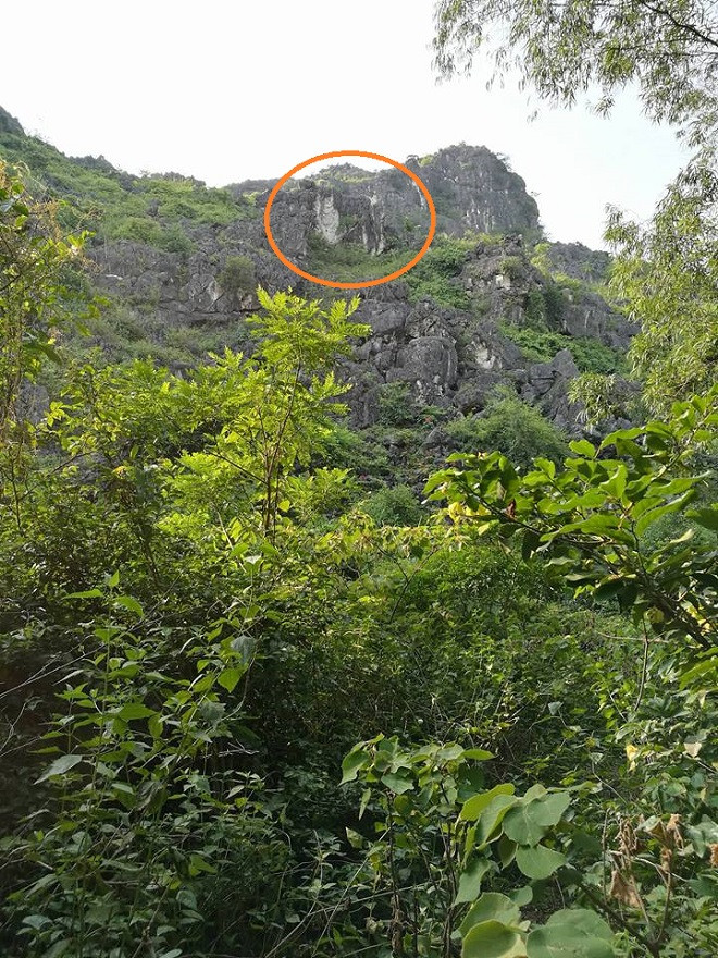Vị trí của “hang vàng” trên gần đỉnh của núi Thung Nồi.