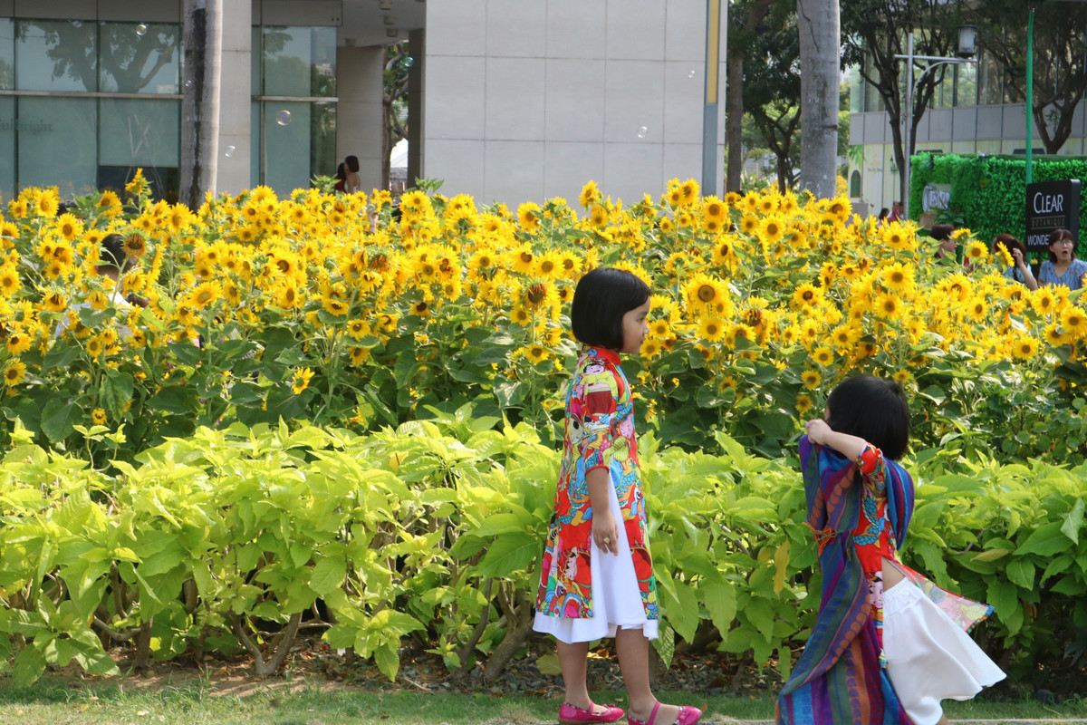 Li xi dang lam hu tre con?-Hinh-3