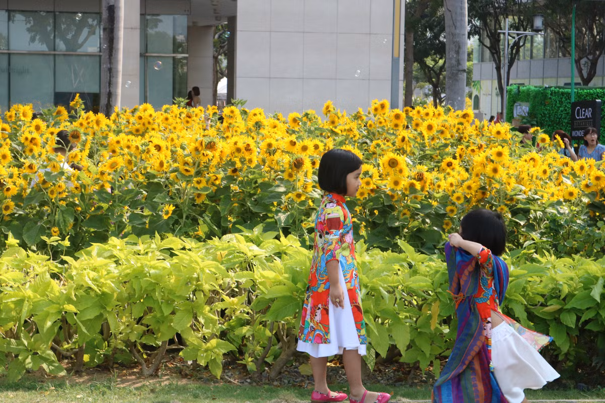 Li xi dang lam hu tre con?-Hinh-3