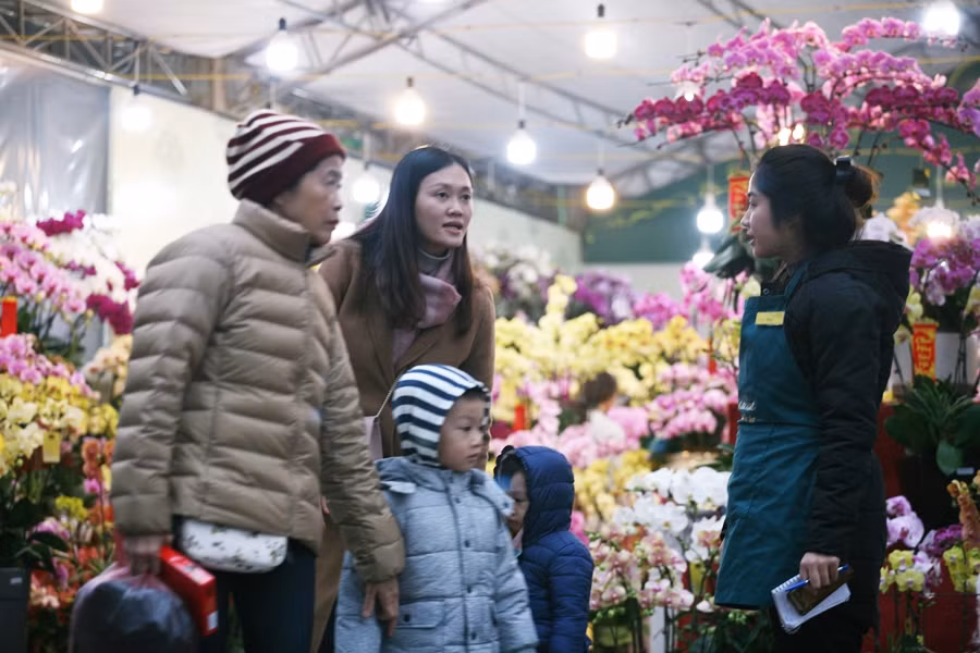 Hầu hết, các gian hàng hoa lan khi thông báo chương trình ưu đãi thì đều thu hút được nhiều khách hàng đến xem, lựa chọn.