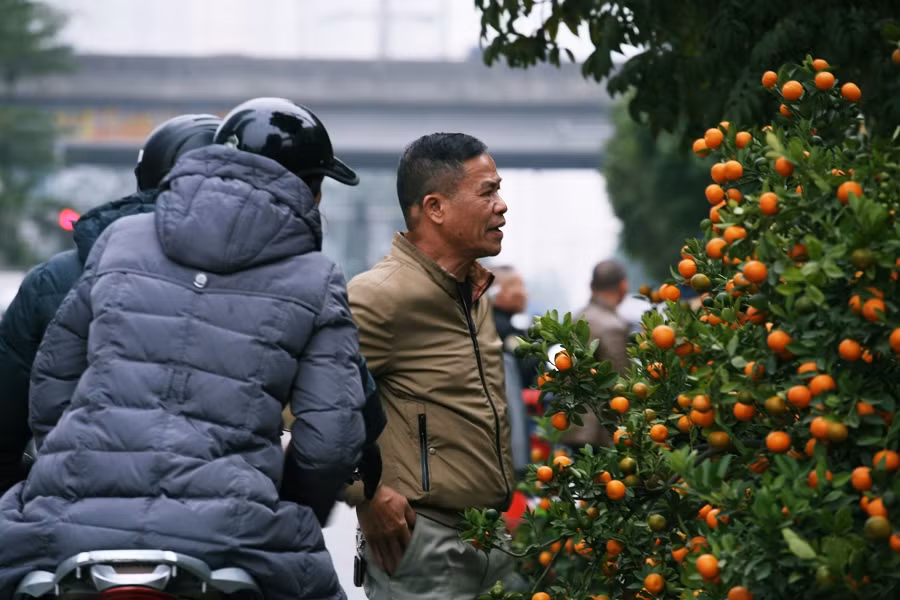 Nhiều khách hàng dừng lại ngắm, chọn khi thấy chủ vườn quất "xả hàng".