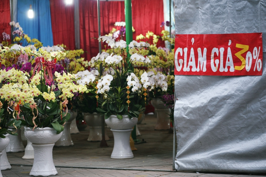 Một gian hàng lan cảnh khác cũng nằm trên đường Hoàng Đạo Thúy công khai giảm giá đến 30%/cây.