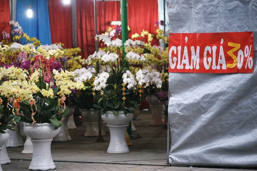 Một gian hàng lan cảnh khác cũng nằm trên đường Hoàng Đạo Thúy công khai giảm giá đến 30%/cây.