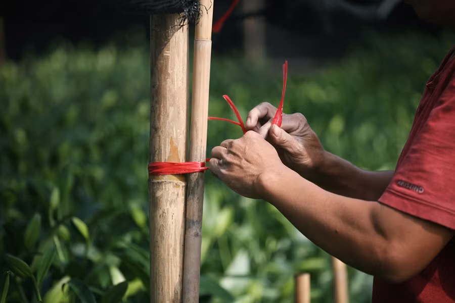 Từ những cột điện gỗ...