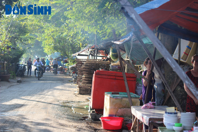 Tìm về khu chợ chuột Phù Dật một ngày đầu năm, hỏi người dân An Giang về khu chợ ai cũng biết và chỉ đường rất nhiệt tình. Men theo con đường xanh mát dọc bờ kênh Phù Dật (cách Quốc lộ 91 hơn 500m), chúng tôi đã đến chợ chuột. Ngay đầu địa phận chợ chúng tôi đã thấy chất đầy lồng nhốt chuột. (Một góc khu chợ chuột Phù Dật)