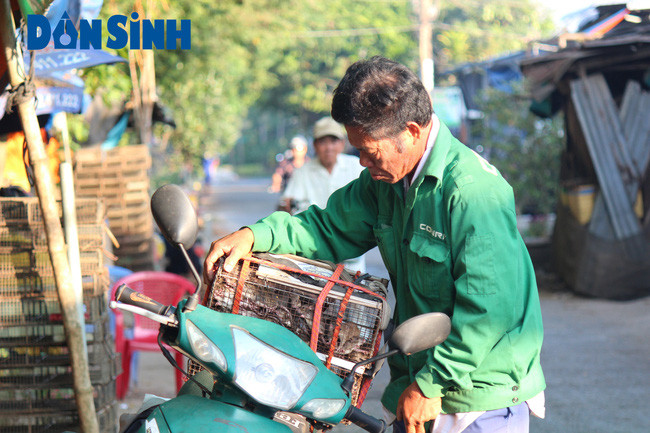 Theo các cụ cao niên trong vùng kể lại thì khu chợ này ra đời đã được mấy mươi năm. Từ trước đến nay vùng đất An Giang là một trong những địa phương có diện tích trồng lúa lớn của cả nước, giai đoạn trước năm 1975, người dân trồng lúa mùa, công việc vất vả, mà lúc này lũ chuột đồng ra sức cắn phá, uổng công cày cấy bao lâu nên ngày nào người dân cũng ra sức diệt chuột.