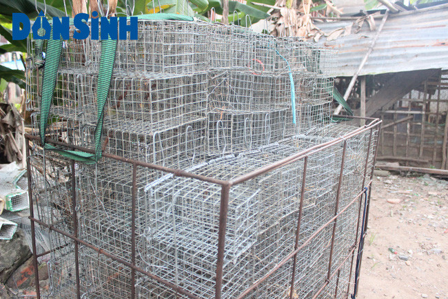 Cùng với những hộ chuyên việc "săn" chuột, làm chuột, một số hộ dân làm những nghề "ăn theo" như làm rập chuột cũng có nguồn thu nhập khá ổn định. Một hộ dân chuyên làm rập chuột trong vùng chia sẻ: "Mỗi chiếc rập chuột làm ra, bán với giá 5.000 đồng. Cũng nhờ có nhiều mối nên buôn bán cũng khá thuận lợi. Ngoài bán cho bà con trong xóm, tôi còn bán cho các bạn hàng đến giao chuột khi họ có nhu cầu".