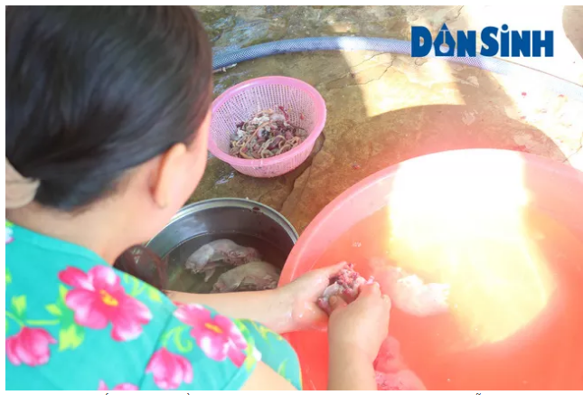 Trên 30 năm gắn bó với nghề làm chuột tại khu chơ chuột Phù Dật, chị Nguyễn Thị Trang cho biết: "Mỗi ngày các xe chở chuột đồng từ các nơi chuyển về, không phân loại chuột lớn, nhỏ. Sau khi chuột được làm thành phẩm thì phân thành ba loại, tùy kích cỡ lớn nhỏ mà bán, giá dao động từ 70.000 đến 100.000 đồng/kg. Vì trong nhà cũng chẳng có mấy người nên mỗi chủ đầu mối sẽ thuê thêm khoảng 15, 20 lao động địa phương để làm chuột hàng ngày. Mỗi lao động họ sẽ được trả công hơn 100.000 đồng/ ngày, tùy sản phẩm làm ra nhiều hay ít. Còn đối với các phế phẩm bỏ ra từ chuột cũng được tận dụng để làm thức ăn nuôi trăn hoặc bán cho các hộ nuôi cá trong xã với giá 3.000 đồng/kg".