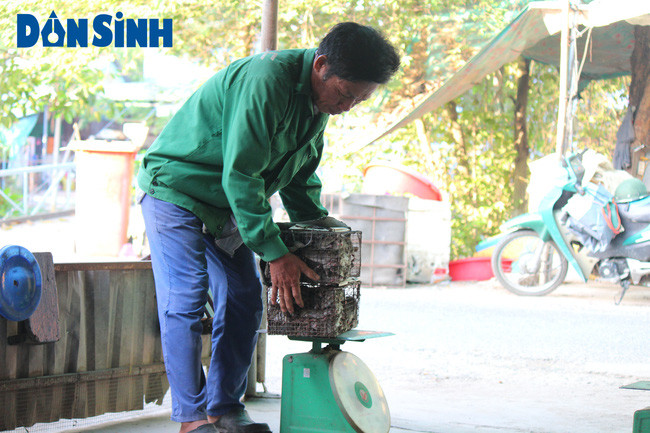 Chuột đồng bắt về người dân dùng để chế biến thành món ăn, có ngày ăn không hết, bèn đem ra chợ bán kiếm vài đồng. Thấy có người bán nên nhiều người vùng khác đến cũng mua chuột về nhậu hoặc làm quà. Vì chuột đồng ở vùng này béo, thịt thơm ngon nên nhiều người đến đây mua về ăn rồi truyền tai nhau. Ngày một có nhiều người tìm đến đây để mua chuột đồng. Thấy thịt chuột có thể mang lại thu nhập, nhiều người dân đã dọc theo kênh Phù Dật bắt đầu hành nghề bắt chuột, cũng chính từ đó thì nơi đây phát sinh việc mua bán chuột. Dần dần tiếng tăm vang xa và trở thành chợ chuột Phù Dật nhộn nhịp như hiện nay.