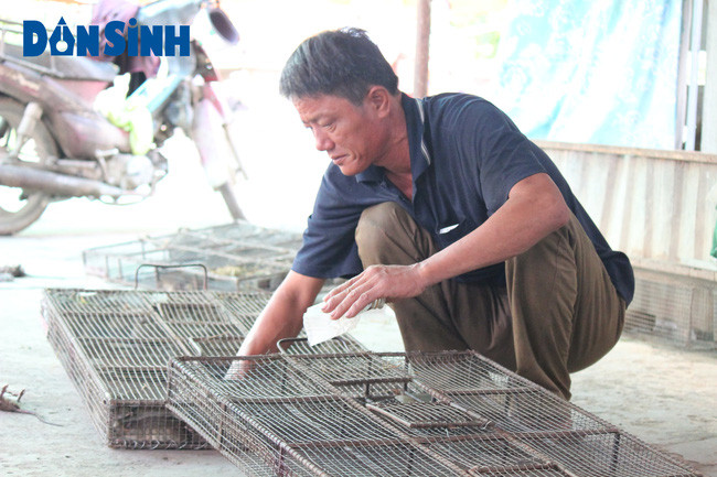 Ông Bùi Văn Ước (người có thâm niên hành nghề làm chuột và phân phối thành phẩm) cho biết, mỗi ngày gia đình ông tiêu thụ cả tấn chuột. Dù không cần biển hiệu, nhà lại nằm sâu trong khu chợ nhưng nhiều khách quen và các lái buôn ở các vùng đều tìm đến gia đình ông để đặt hàng, những đợt cao điểm có ngày gia đình ông cùng hàng chục người làm thuê làm tất bật từ tờ mờ sáng đến tối mịt vẫn không kịp hàng để giao cho khách. Nghề bắt và bán thịt chuột không vất vả nhưng đã giúp những người nông dân nghèo ở đây cải thiện được cuộc sống, kinh tế - xã hội ngày được nâng cao.