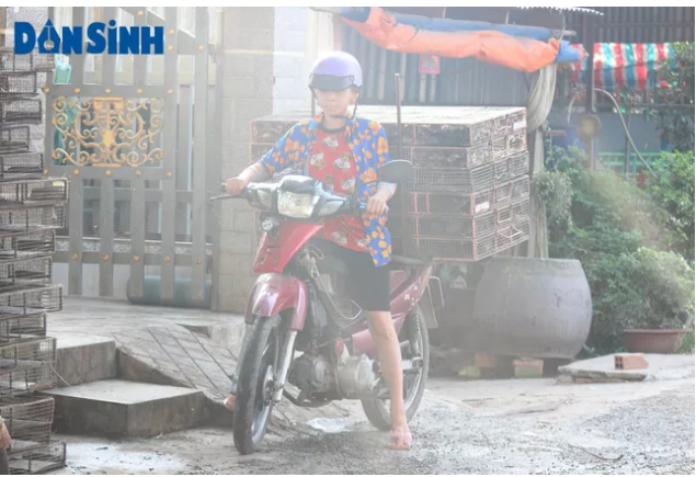 Sau khi gom đủ số lượng chuột đồng, các thương lái đưa chuột đi phân phối các nhà hàng, quán nhậu ở các tỉnh miền Tây, thậm chí còn có nhiều thương lái gom lượng lớn chuột rồi chở lên TP. Hồ Chí Minh tiêu thụ.