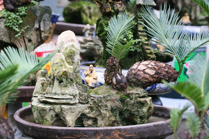 Ngoài việc trồng cây lên các viên đá, ông Toàn còn kết hợp trang trí cả những bức tượng hoặc ngôi nhà gắn tên với các tích truyện quen thuộc để tạo nên những non bộ có nét riêng biệt mới lạ trên bonsai vạn tuế mini.