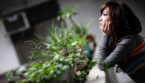 Nhung cau tranh hoi nang doc than dip Tet-Hinh-4