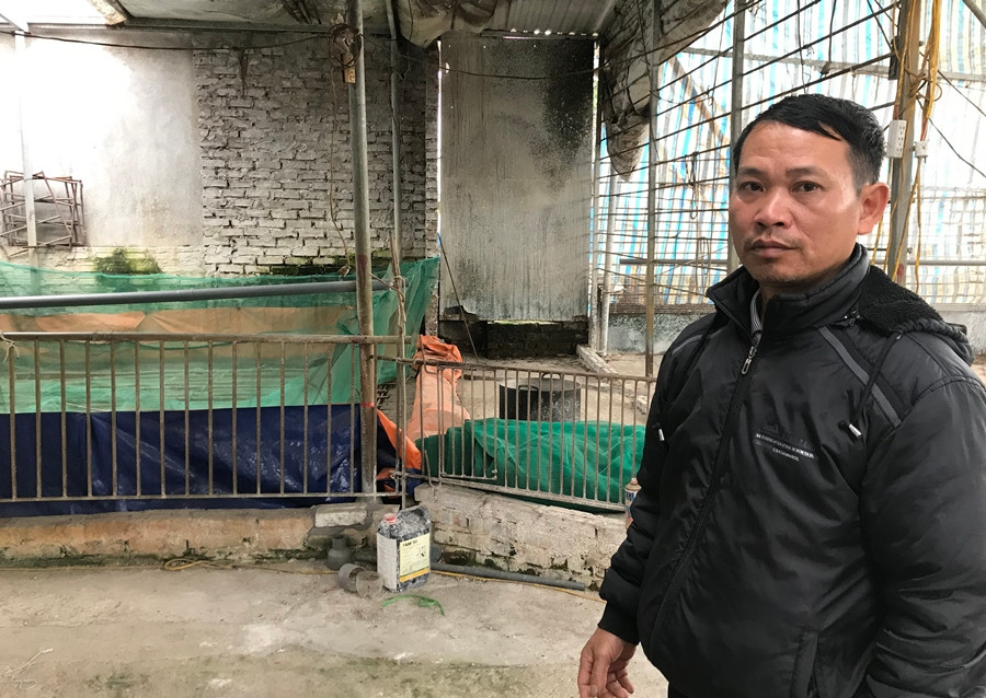 Ha Noi: Nguoi dan “dai co” cho tien ho tro 200 con lon dich ta chau Phi-Hinh-2