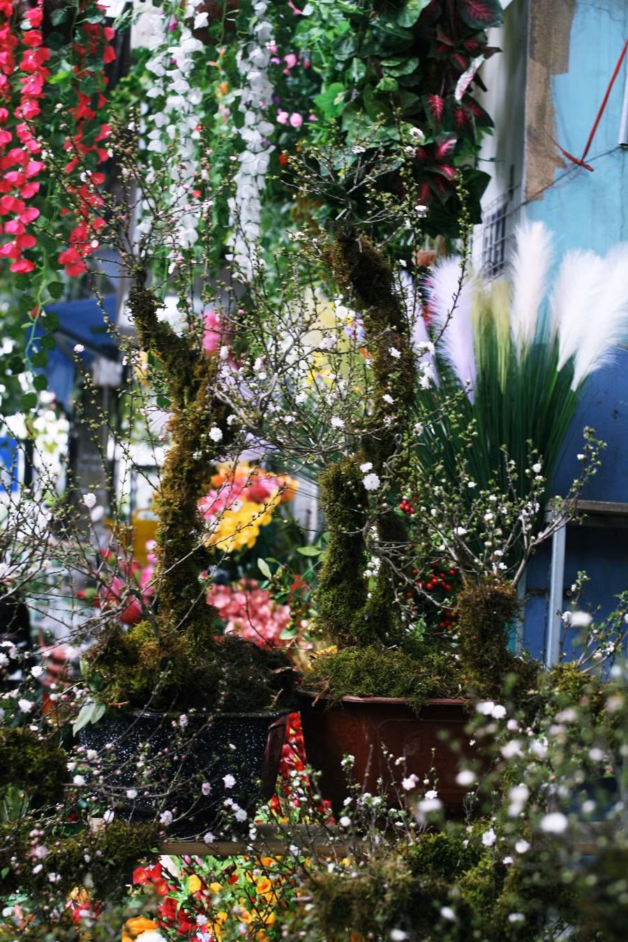 Nhất chi mai đang được nhiều người dân Thủ đô "săn" vào dịp Tết Nguyên đán Canh Tý 2020.