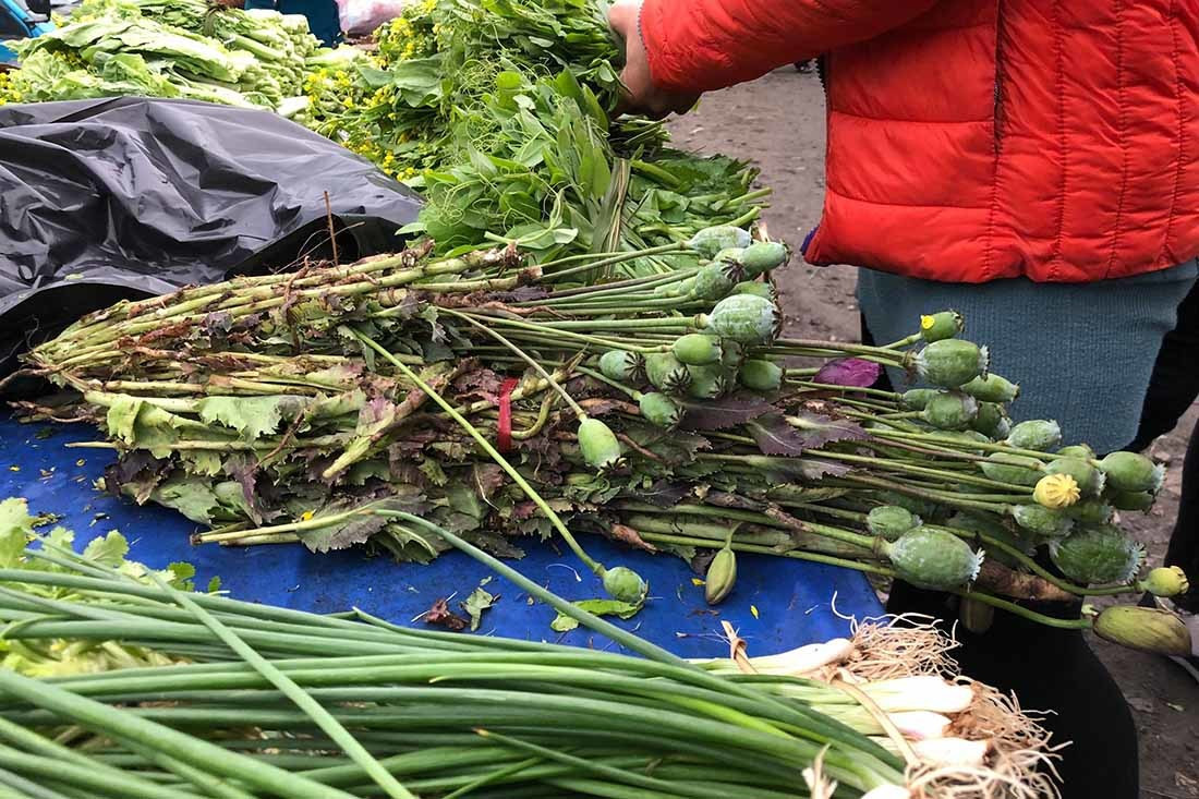 Thập niên 1990, cây thuốc phiện được trồng công khai ở vùng biên giới