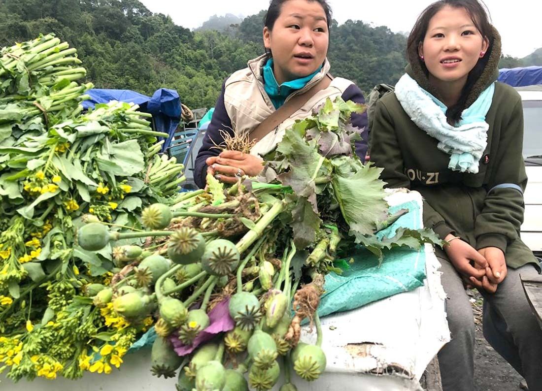 Người dân bày bán công khai cây thuốc phiện tại chợ biên giới. Ảnh: Nguyễn Duy