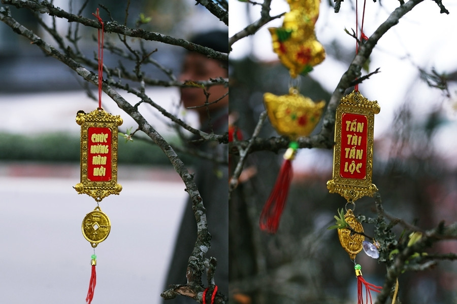 Những lời Tết được trang trí trên cành mận rừng mang theo không khí tươi vui nhộn nhịp của ngày Tết cổ truyền.