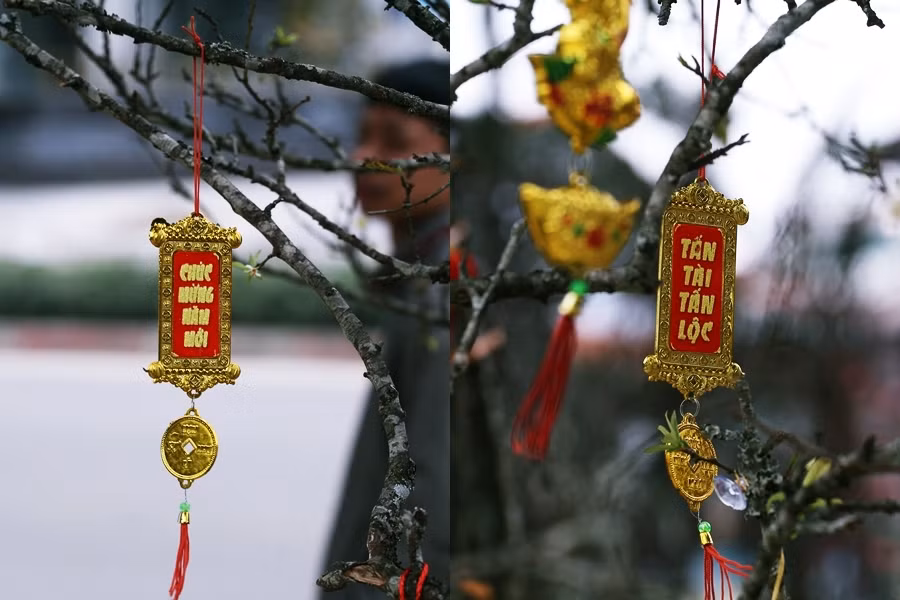 Những lời Tết được trang trí trên cành mận rừng mang theo không khí tươi vui nhộn nhịp của ngày Tết cổ truyền.