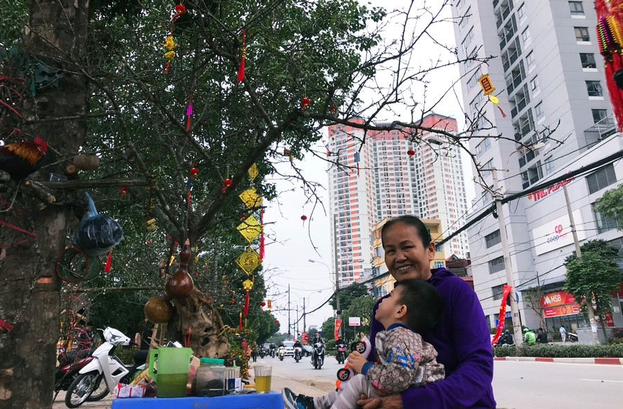 Nếu bán thuận lợi, chủ nhân của những cành, gốc mận rừng Tây Bắc này sẽ thu về bội tiền dịp Tết Nguyên đán 2020.